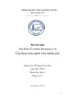 Tiểu luận Tìm hiểu về enzym Mannanase và Ứng dụng trong ngành công nghiệp giấy