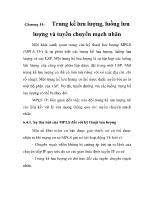 Trung kế lưu lượng, luồng lưu lượng và tuyến chuyển mạch nhãn