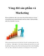 Vòng đời sản phẩm và Marketing