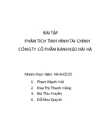 Bài tập Phân tích tình hình tài chính công ty cổ phần bánh kẹo Hải Hà