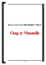 Báo cáo Tài chính hợp nhất công ty Vinamilk