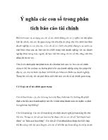 Báo cáo Ý nghĩa các con số trong phân tích tài chính