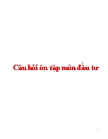 Câu hỏi ôn tập môn đầu tư