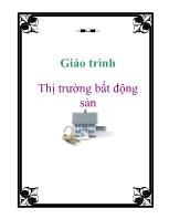 Giáo trình Thị trường bất động sản