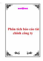 Phân tích Báo cáo tài chính công ty