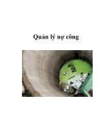 Quản lý nợ công