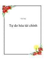 Tài Liệu Tự do hóa tài chính