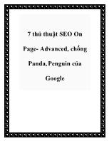 7 thủ thuật SEO On Page- Advanced, chống Panda, Penguin của Google