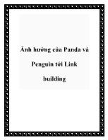 Ảnh hưởng của Panda và Penguin tới Link building