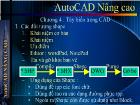 AutoCAD Nâng cao - Chương 4 : Tùy biến trong CAD