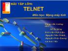 Bài tập lớn: Telnet