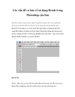 Các vấn đề cơ bản về sử dụng Brush trong Photoshop căn bản