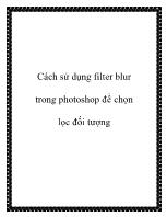 Cách sử dụng filter blur trong photoshop để chọn lọc đối tượng