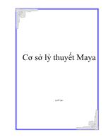 Cơ sở lý thuyết Maya