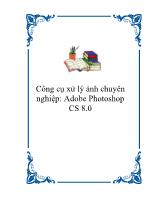 Công cụ xử lý ảnh chuyên nghiệp: Adobe Photoshop CS 8.0