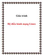 Giáo trình Hệ điều hành mạng Linux