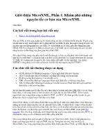 Giới thiệu MicroXML, Phần 1: Khám phá những nguyên tắc cơ bản của MicroXML