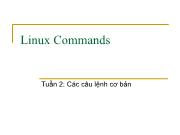Linux Commands Tuần 2: Các câu lệnh cơ bản