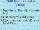 Màn hình và card Video