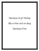 Opentype là gì? Hướng dẫn cơ bản cách sử dụng Opentype Font