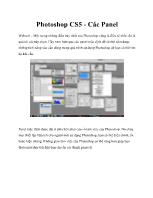 Photoshop CS5 - Các Panel