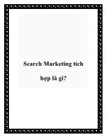 Search Marketing tích hợp là gì?