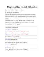 Tổng hợp những câu lệnh SQL cơ bản