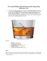 Vẽ ly rượu Whiskey chứa đá bên trong ấn tượng bằng Illustrator CS5