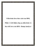 Chẩn đoán Java theo cách của IBM, Phần 1: Giới thiệu công cụ chẩn đoán và theo dõi Java của IBM - Dump Analyzer