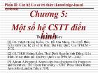 Chương 5: Một số hệ cơ sở tri thức điển hình