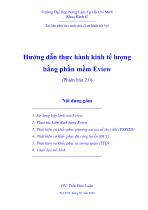 Hướng dẫn thực hành kinh tế lượng bằng phần mềm Eview