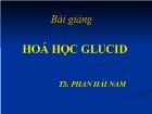 Bài giảng Hoá học Glucid - Phan Hải Nam
