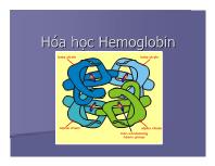 Bài giảng Hóa học Hemoglobin