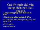 Các kỹ thuật chủ yếu trong phân tích axit nucleic