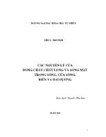 Các nguyên lý của dòng chảy chất lỏng và sóng mặt trong sông, cửa sông, biển và đại dương