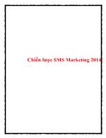 Chiến lược SMS Marketing 2014