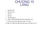 Chương 10 Lắng