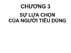 Chương 3 Sự lựa chọn của người tiêu dùng