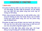 Chương 5: Enzyme