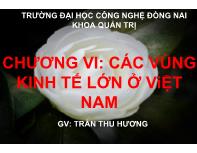 Chương VI: Các vùng kinh tế lớn ở Việt Nam