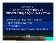 Chương VI: Tổ chức, thực hiện và kiểm tra hoạt động marketing