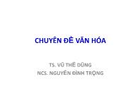 Chuyên đề Văn hóa - TS. Vũ Thế Dũng