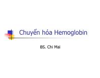 Chuyển hóa Hemoglobin