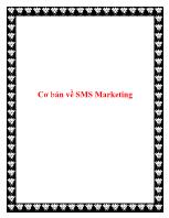 Cơ bản về SMS Marketing