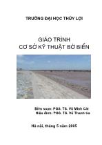 Giáo trình Cơ sở kỹ thuật bờ biển