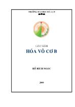 Giáo trình Hóa vô cơ B - Hồ Bích Ngọc