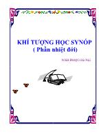 Khí tượng học Synốp ( phần nhiệt đới)