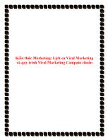 Kiến thức Marketing: Lịch sử Viral Marketing và quy trình Viral Marketing Campain chuẩn