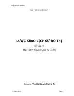 Lược khảo lịch sử đô thị