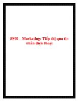 SMS – Marketing: Tiếp thị qua tin nhắn điện thoại